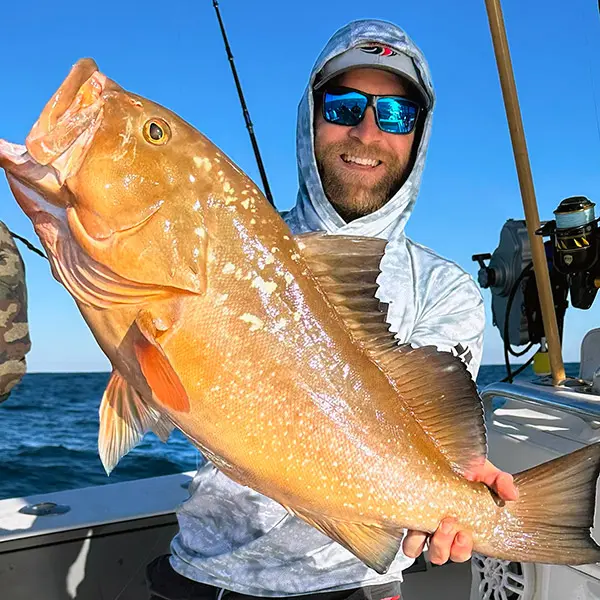 Red Grouper