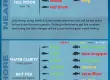 November 2024 fishing charters report