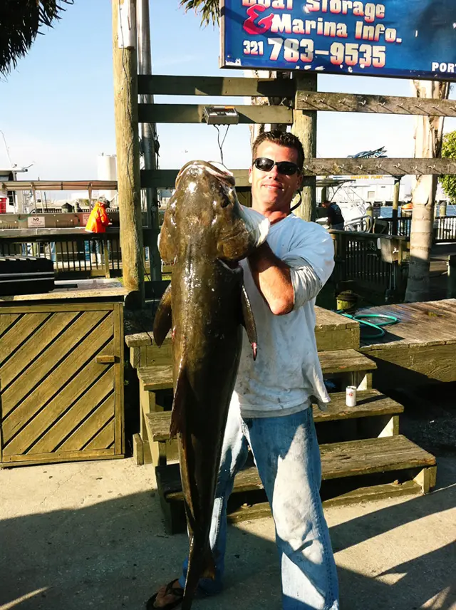 big_cobia