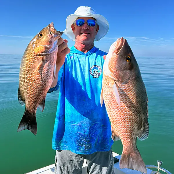 Mangrove Snapper