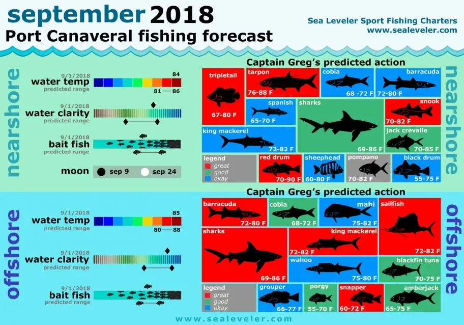 Port Canaveral Fishing Report September 2018 September 2018 Fishing Report