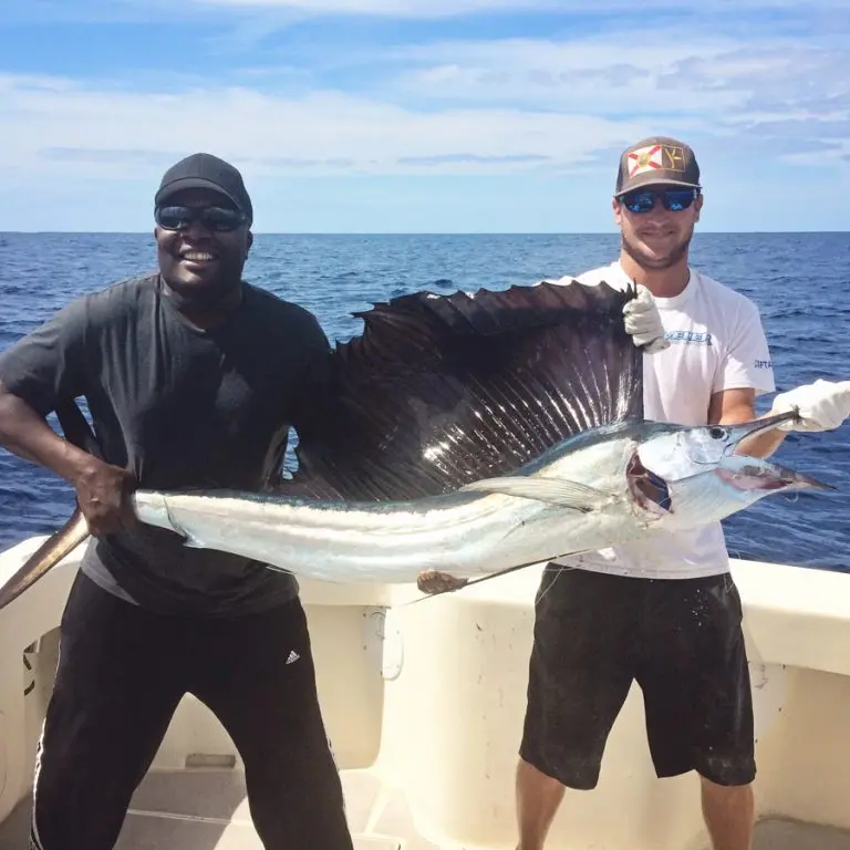 beautiful sail fish cape canaveral