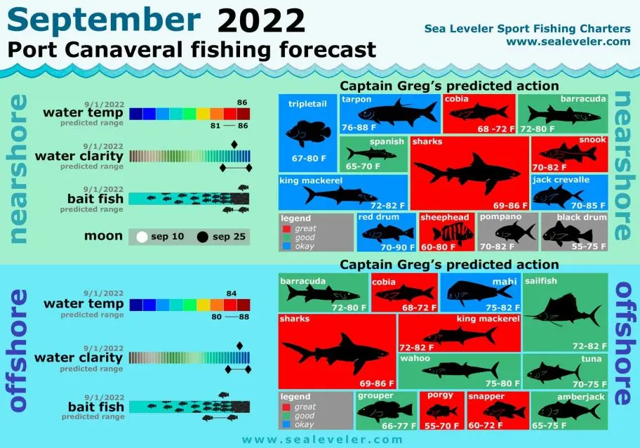 Port Canaveral Fishing Report September 2022 September 2022 Fishing Report
