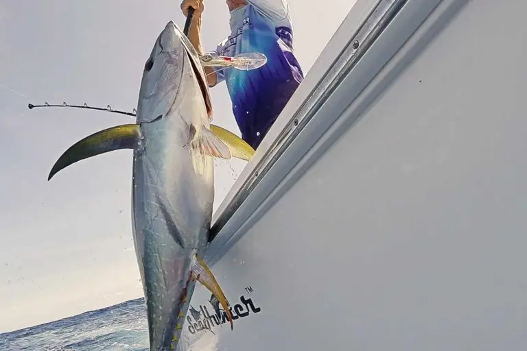 Pulling Fish out of Water into Boat