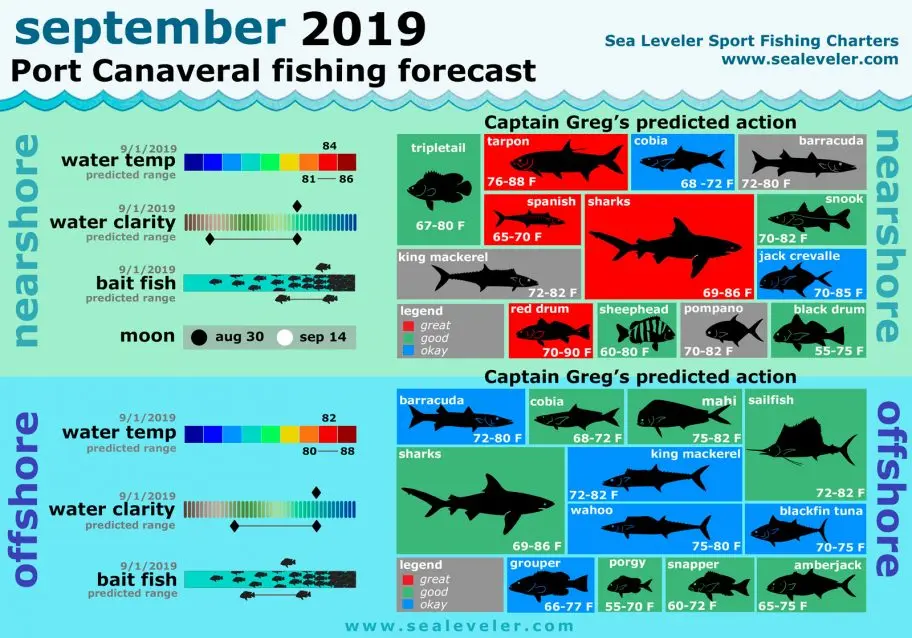 Port Canaveral Fishing Report September 2019 September 2019 Fishing Report