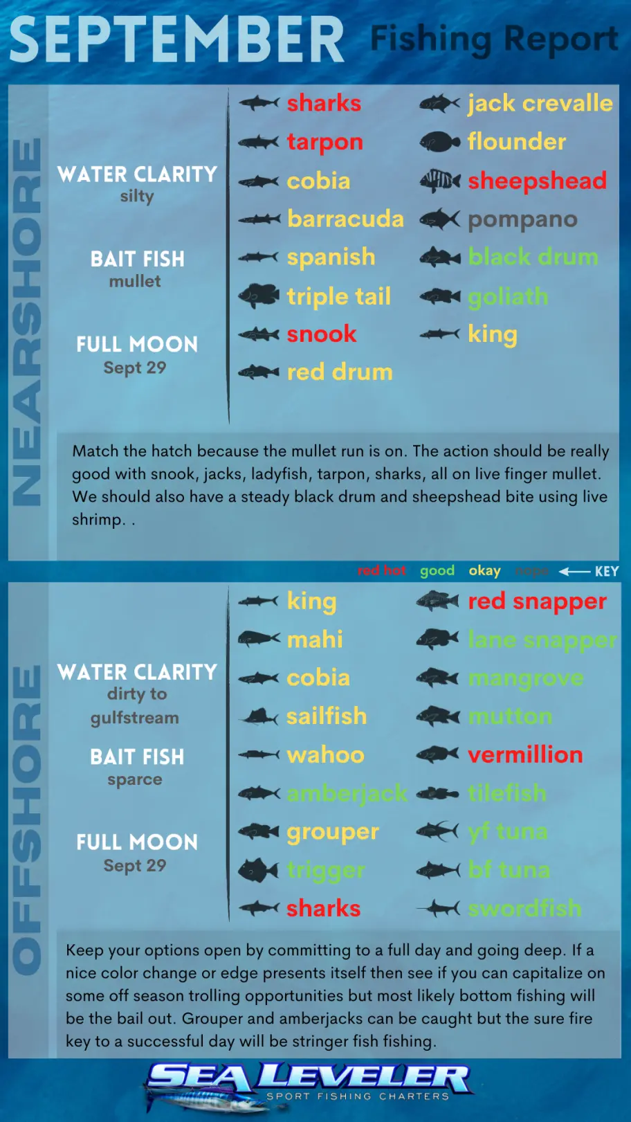 Port Canaveral Fishing Report September S 2023 September 2023 Fishing Report