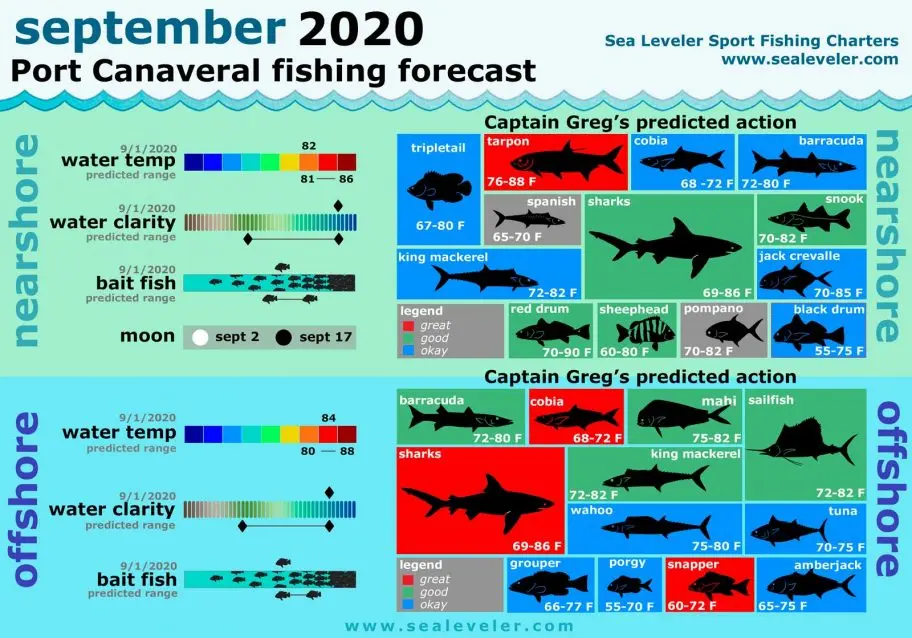 Port Canaveral Fishing Report September 2020 September 2020 Fishing Report