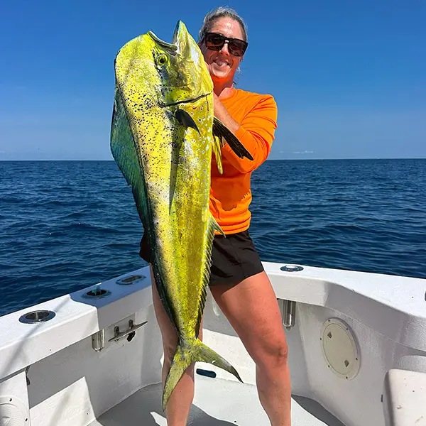 Mahi-Mahi