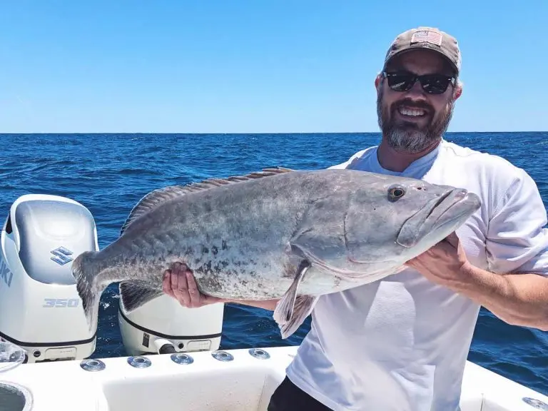 orlando deep sea fishing charters