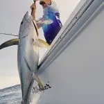 Pulling Fish out of Water into Boat