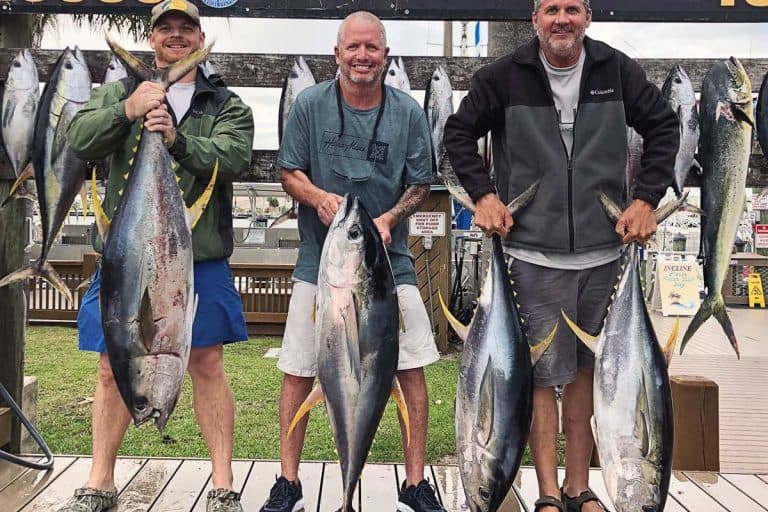 Three Man Holding Big Yellow Fin Fish with Fishes in Background