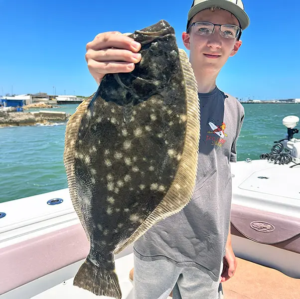 Flounder