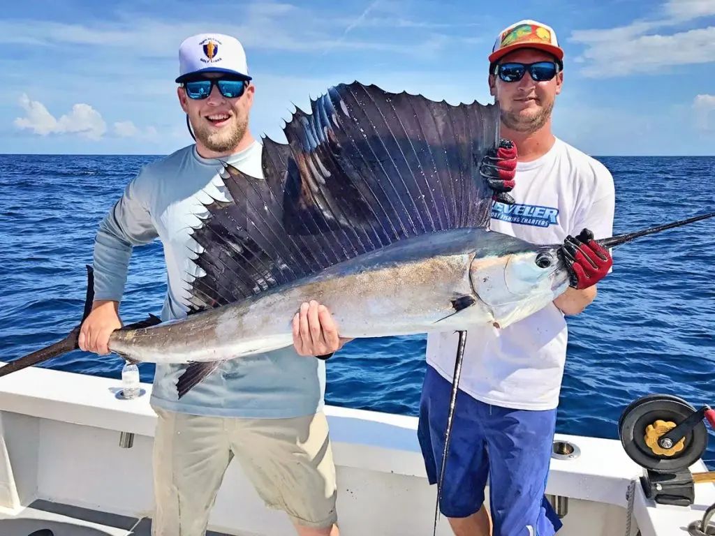 cocoa beach deep sea fishing charters sailfish