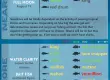 August 2024 fishing charters report