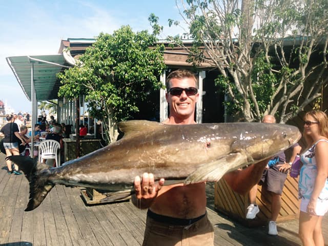 deep_sea_fishing_cobia