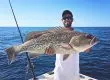 big grouper near cocoa beach
