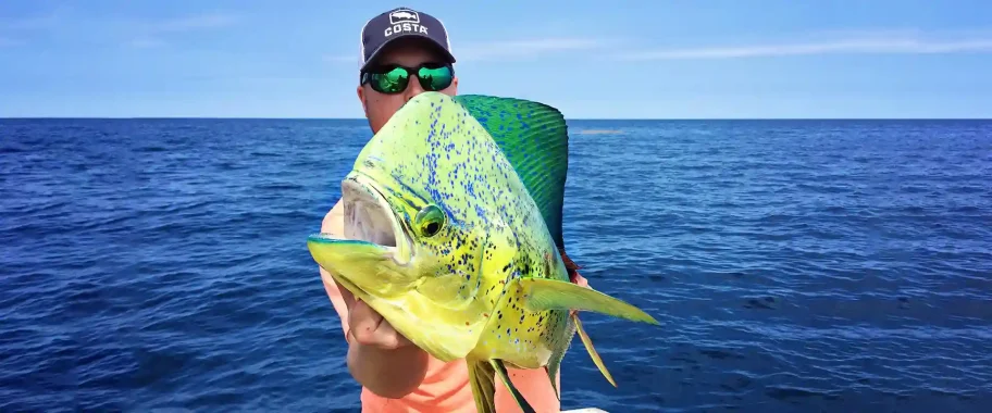 dolphin-fishing-charters-cocoa-beach