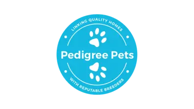 Pedigree Pets