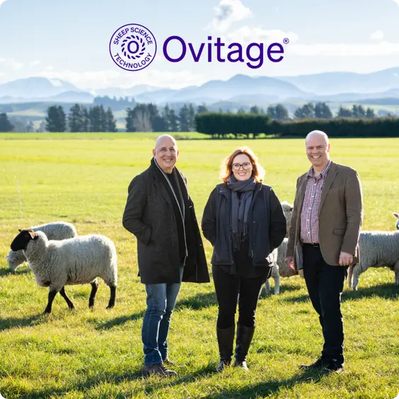Ovitage founders