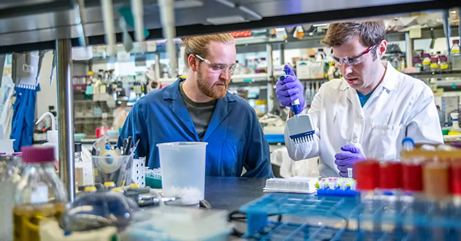 People working in a lab