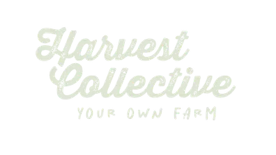 Harvest Collective