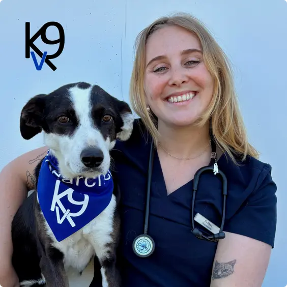 Kode Veterinary Sciences founder