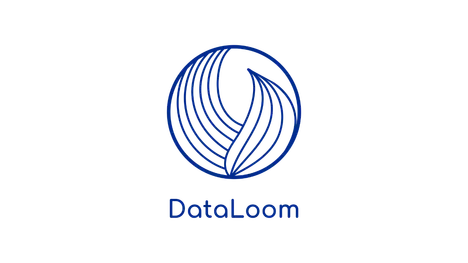 DataLoom logo