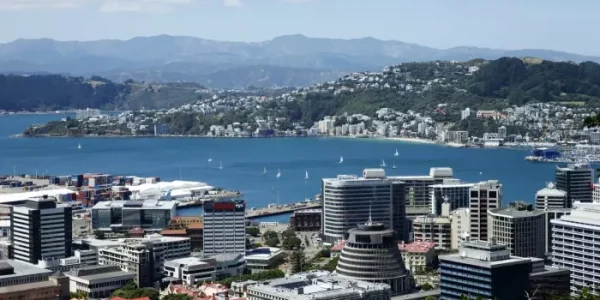wellington beehive