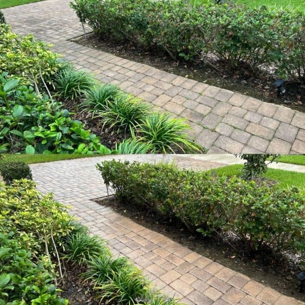 Paver Sealing results in Lake County FL