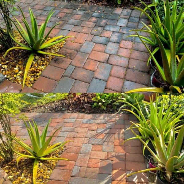 Paver Sealing job in Lake County FL