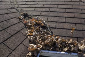 How to Get Debris off my Roof