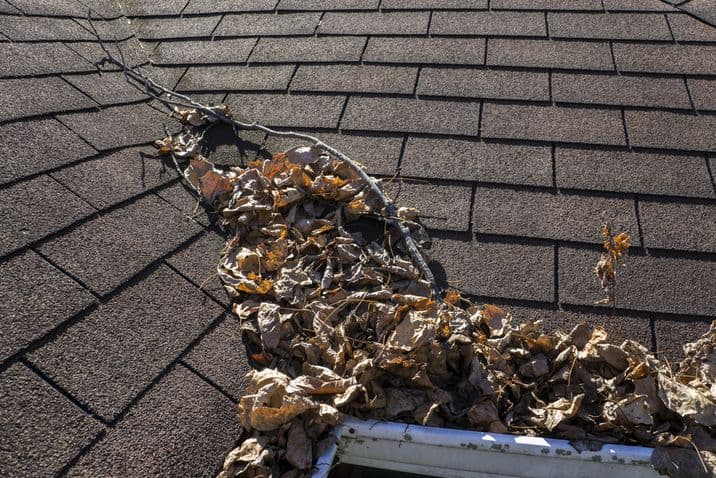 How to Get Debris off my Roof