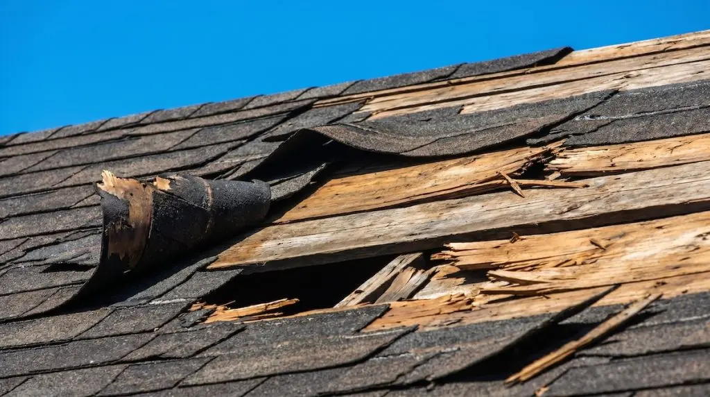 Damaged shingles