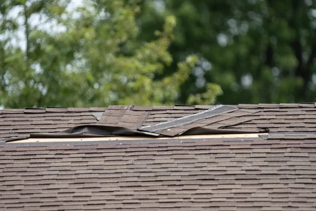 Damaged shingles