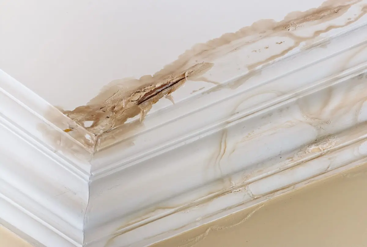 how to find a roof leak white ceiling yellow wall