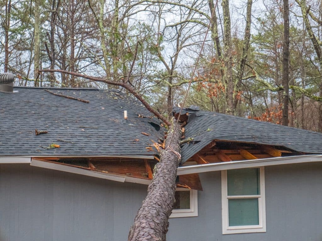 Damaged roof