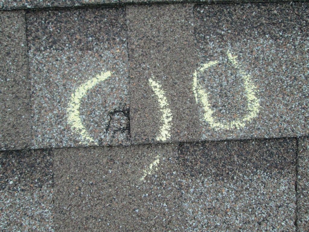 Hail Damaged Roofing Shingles Inspection