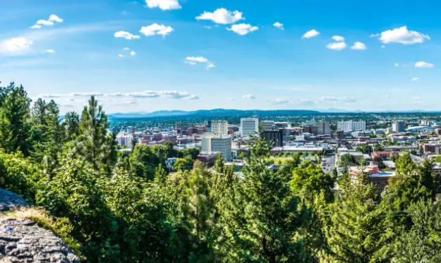 View of the Spokane skyline from a forested hillside
