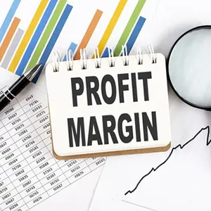 Profit Margin Graphic