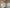 media thumbnail 3