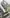 media thumbnail 2