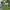 media thumbnail 0