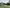 media thumbnail 0