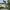media thumbnail 2