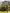 media thumbnail 1
