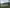 media thumbnail 4