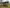 media thumbnail 1