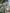 media thumbnail 2