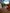 media thumbnail 1