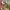media thumbnail 0